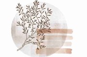蓝光收藏级【裸影绮梦】李沁×徐若瑄浪漫禁忌无删减高清无码秒播
